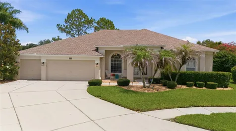25651 Ferdinand Court Wesley Chapel FL 33544