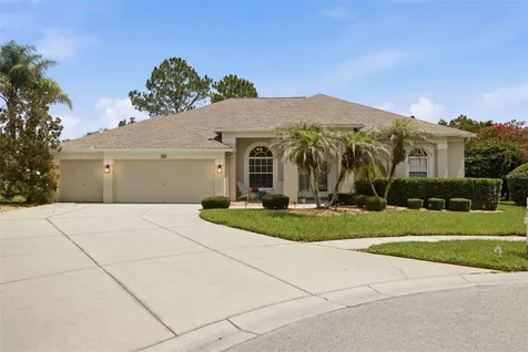 25651 Ferdinand Court Wesley Chapel FL 33544