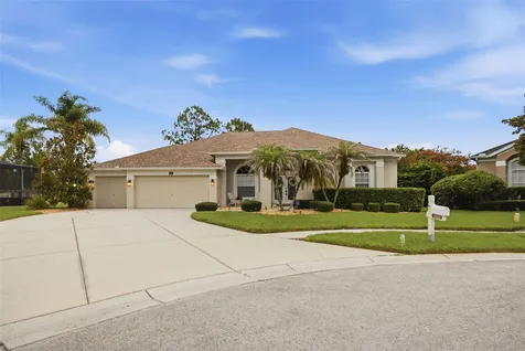 25651 Ferdinand Court Wesley Chapel FL 33544