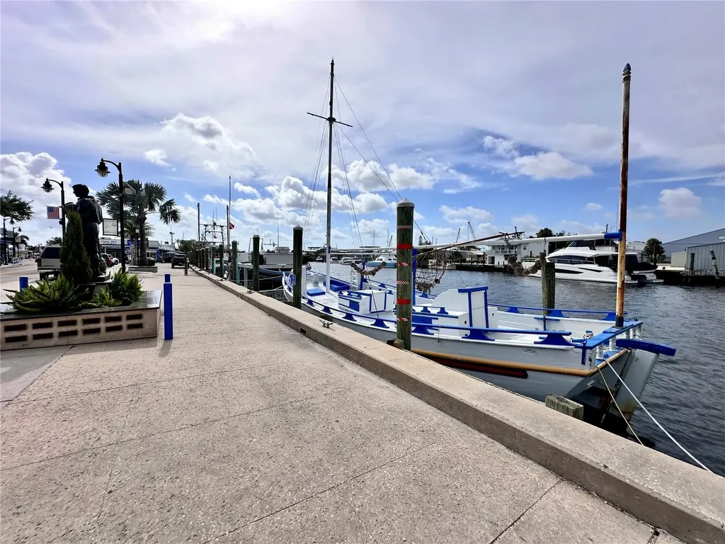 1650 Navigator Lane Tarpon Springs FL 34689