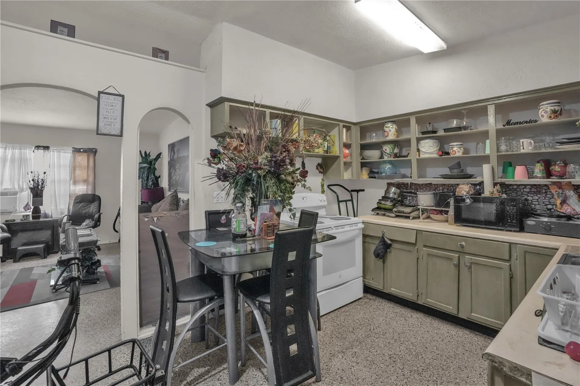 1113 S Lee Avenue Orlando FL 32805