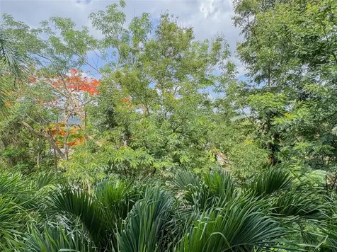 59 Cll Union Cond. Hillsview Plaza Guaynabo PR 00971