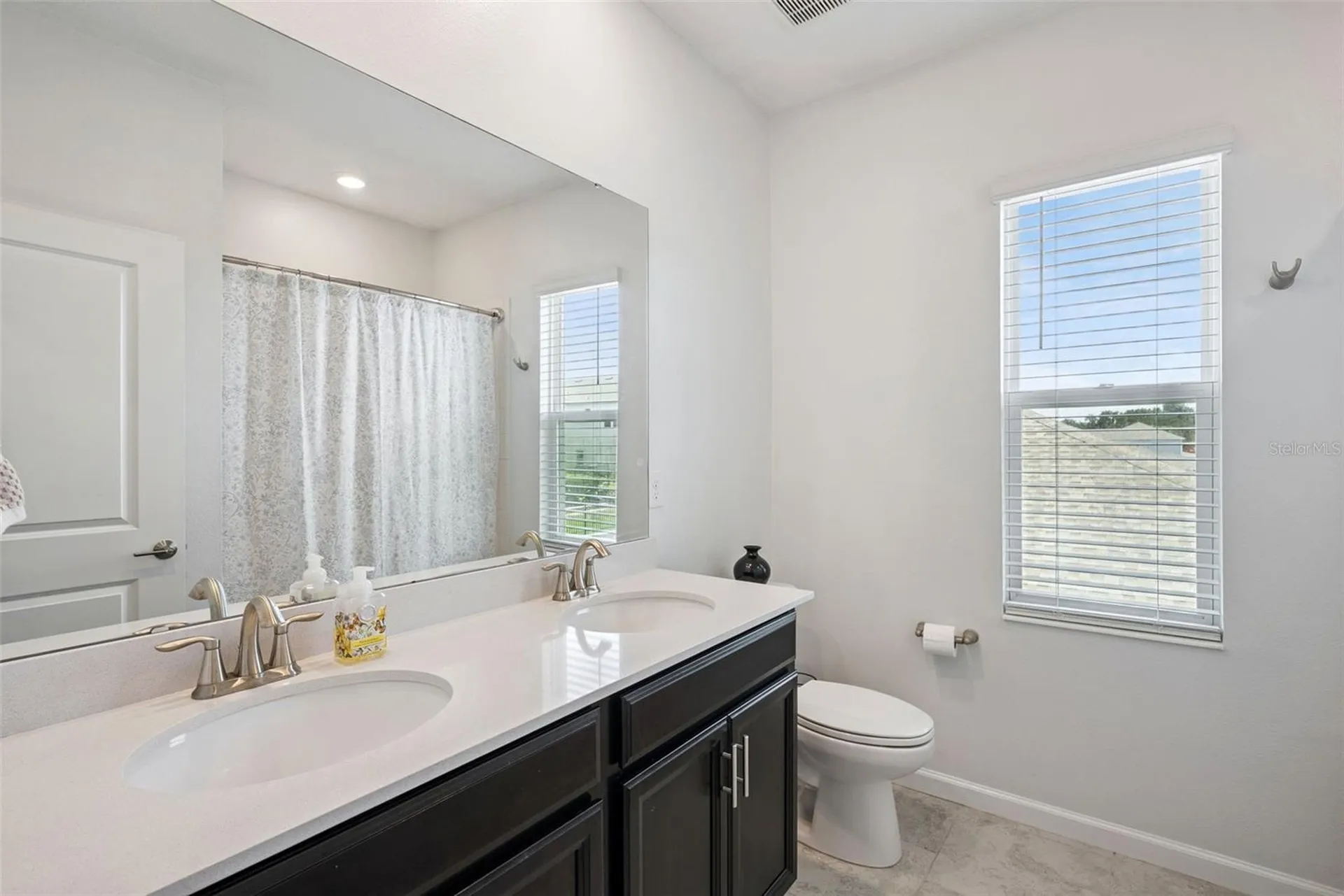 1235 Dora Parc Lane Mount Dora FL 32757