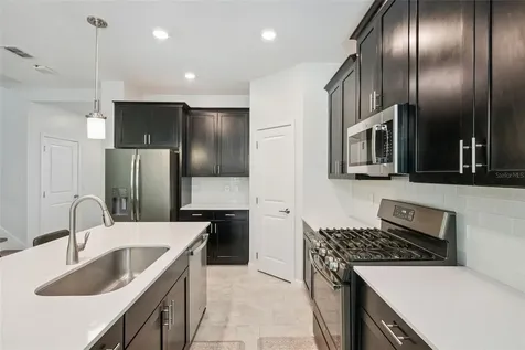 1235 Dora Parc Lane Mount Dora FL 32757