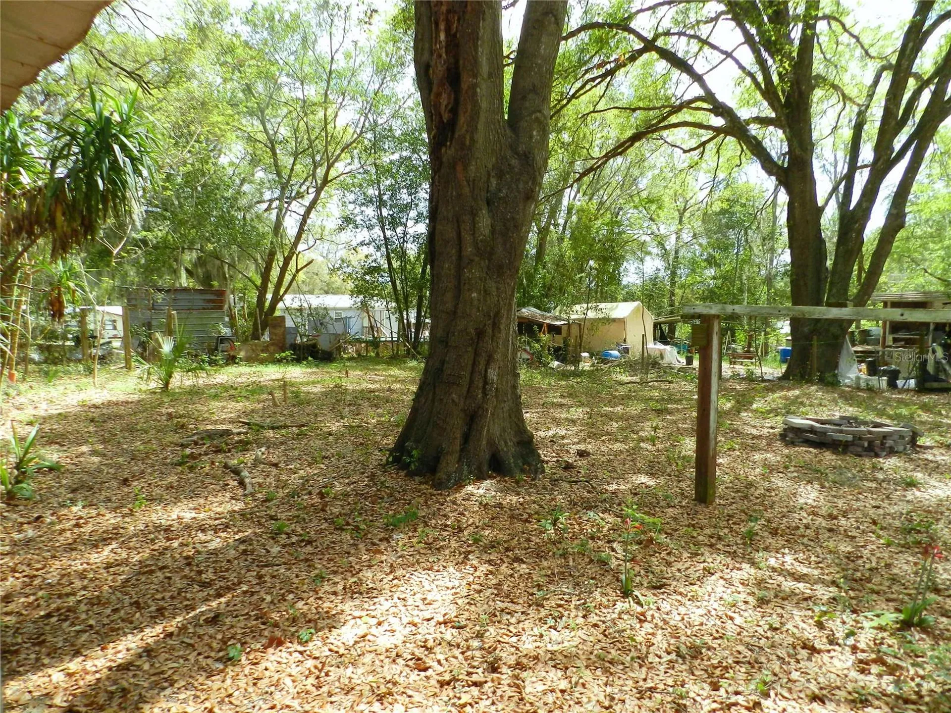 755 SW Jasmine Avenue Keystone Heights FL 32656