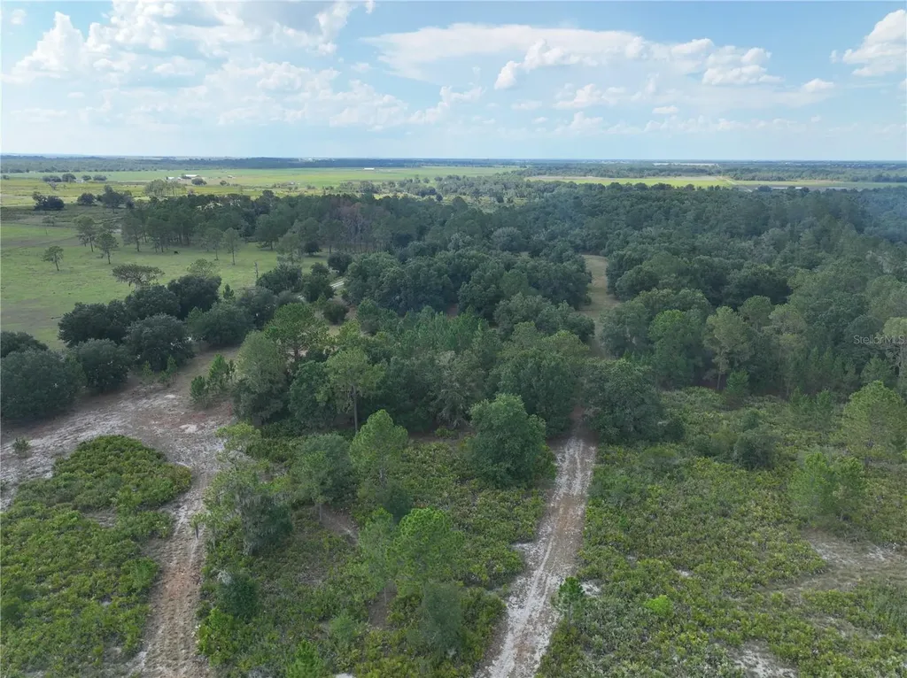 W Terreno Road Fort Meade FL 33841