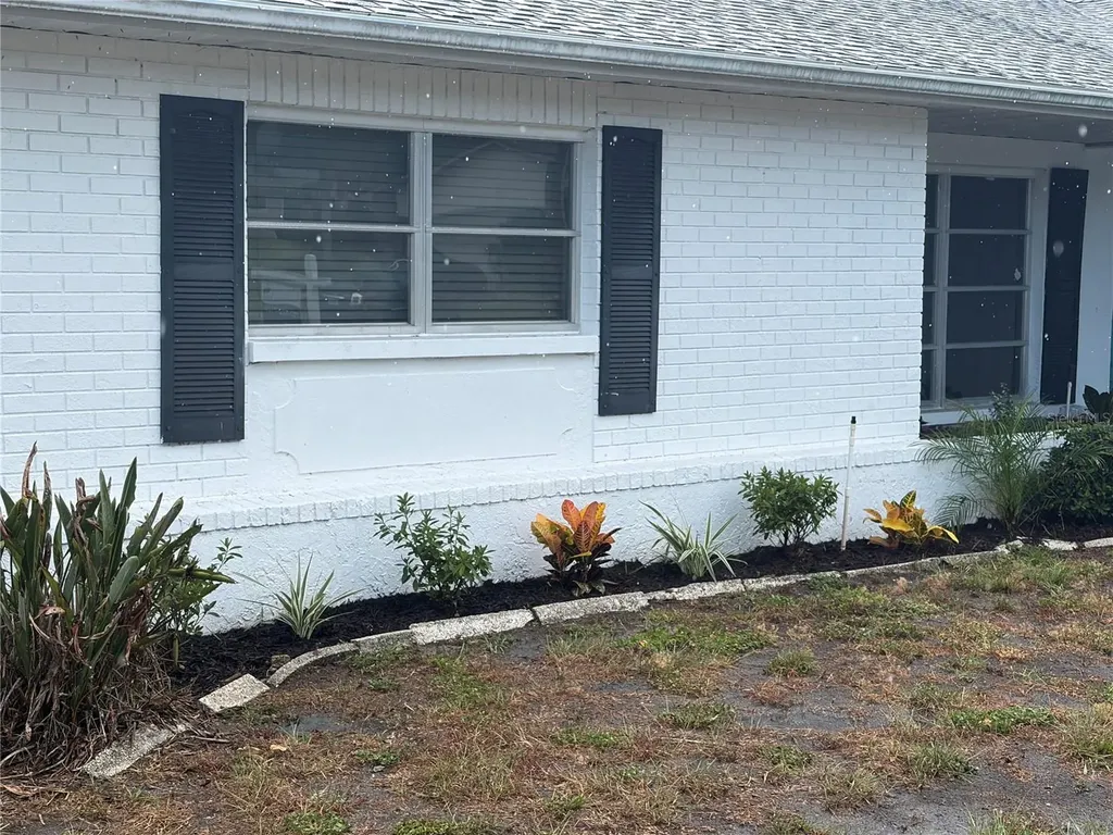 2903 Macalpin Drive S Palm Harbor FL 34684