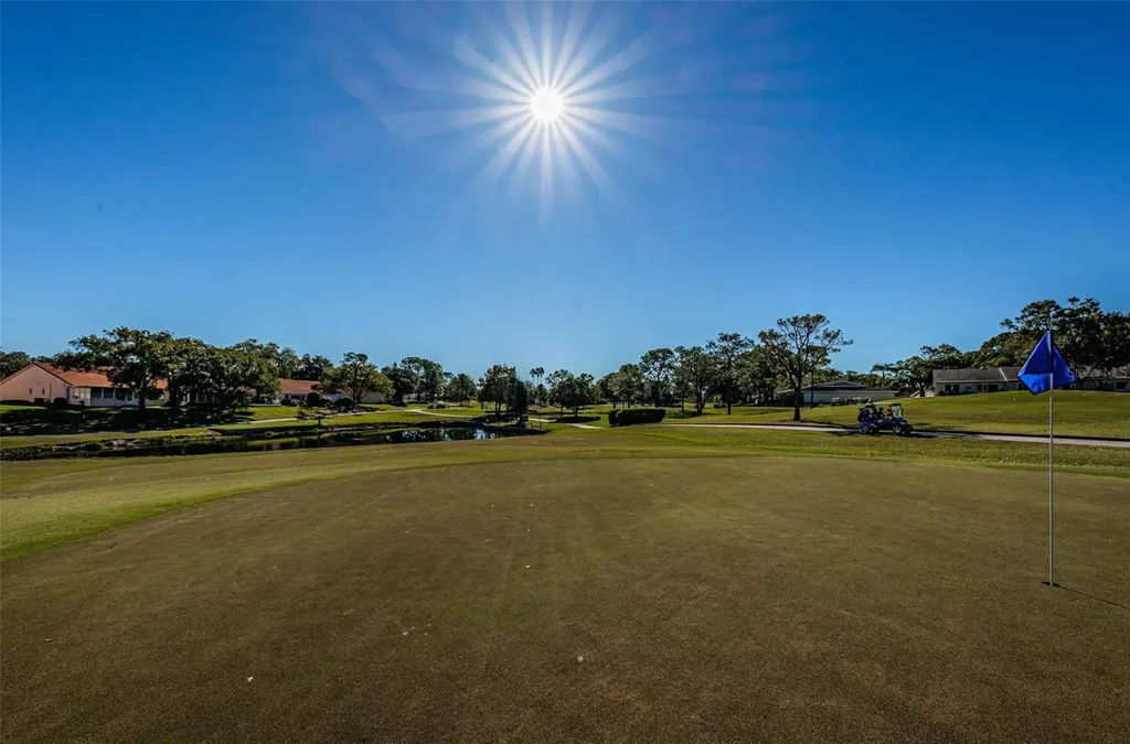 2903 Macalpin Drive S Palm Harbor FL 34684