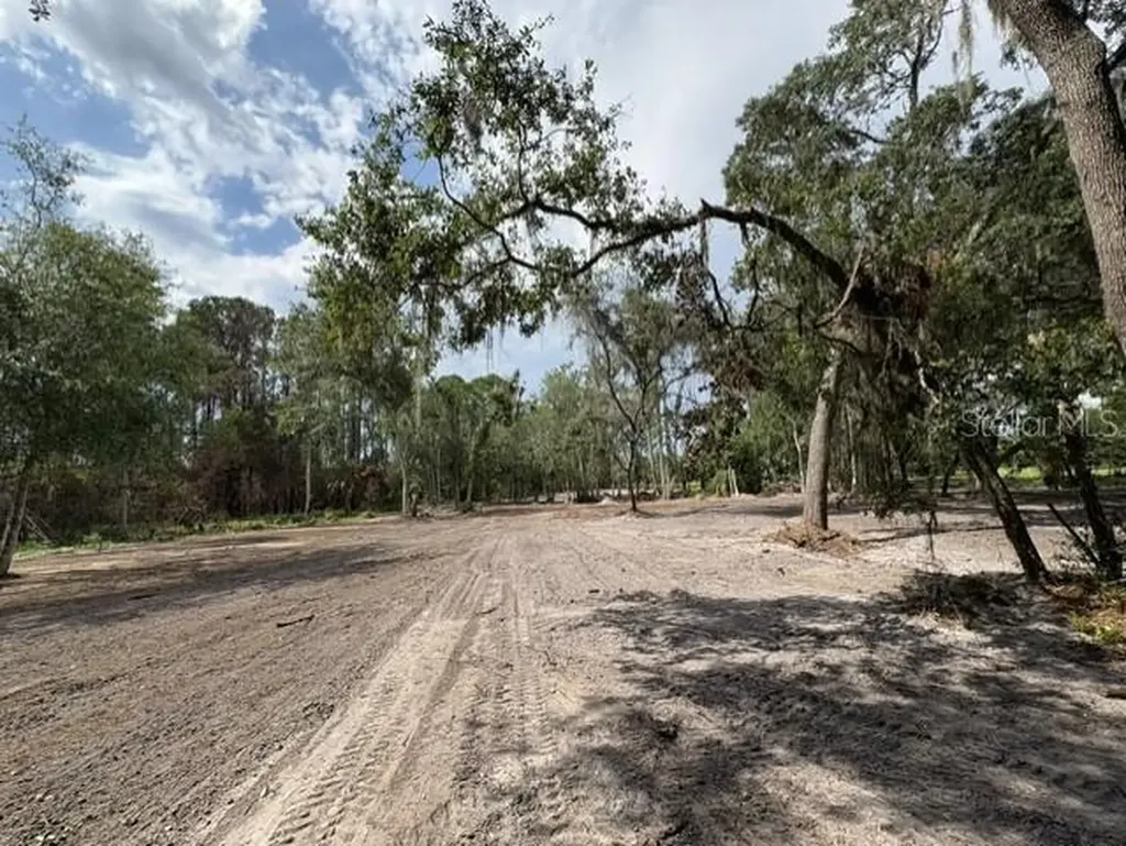 County Road 309 Crescent City FL 32112