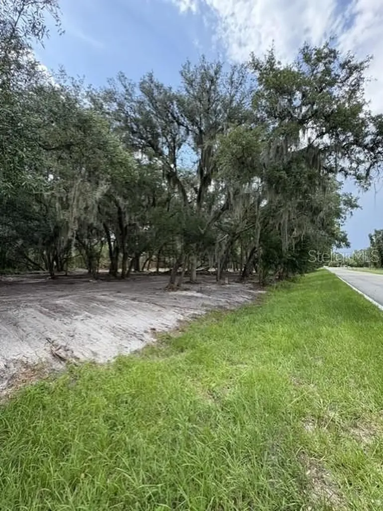 County Road 309 Crescent City FL 32112