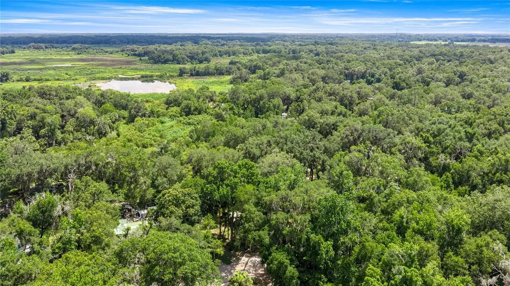 3424 NE 162nd Street Citra FL 32113