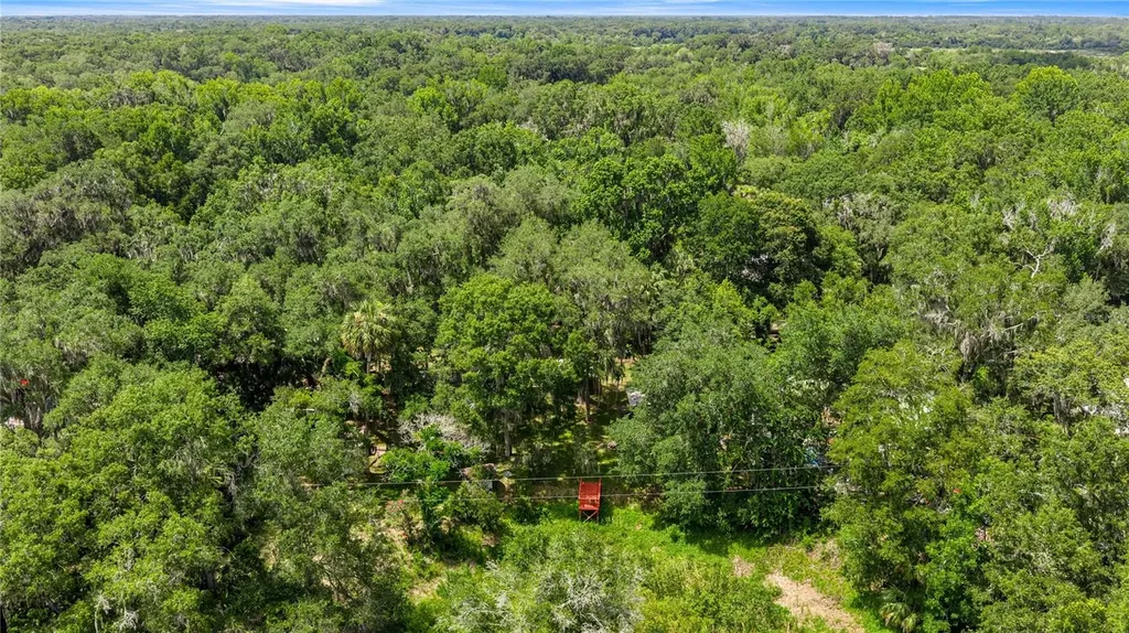 3424 NE 162nd Street Citra FL 32113