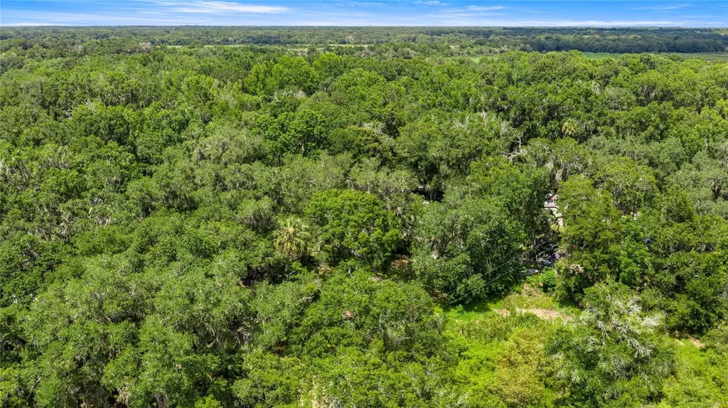 3424 NE 162nd Street Citra FL 32113