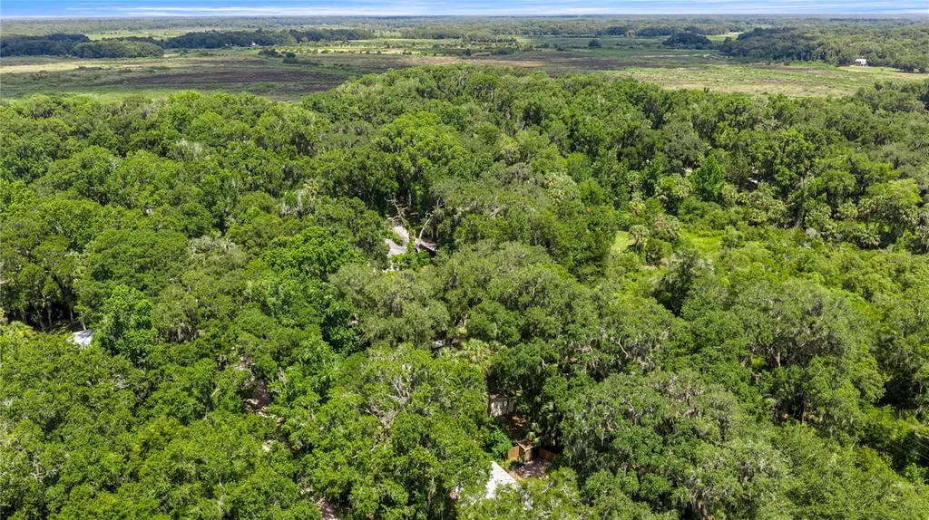 3424 NE 162nd Street Citra FL 32113