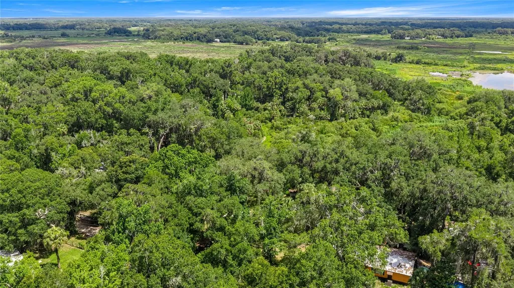 3424 NE 162nd Street Citra FL 32113