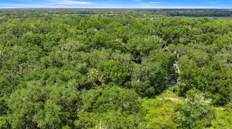 3424 NE 162nd Street Citra FL 32113