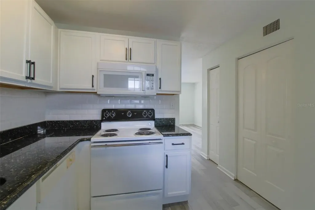 201 Poinsettia Pine Court Tampa FL 33612