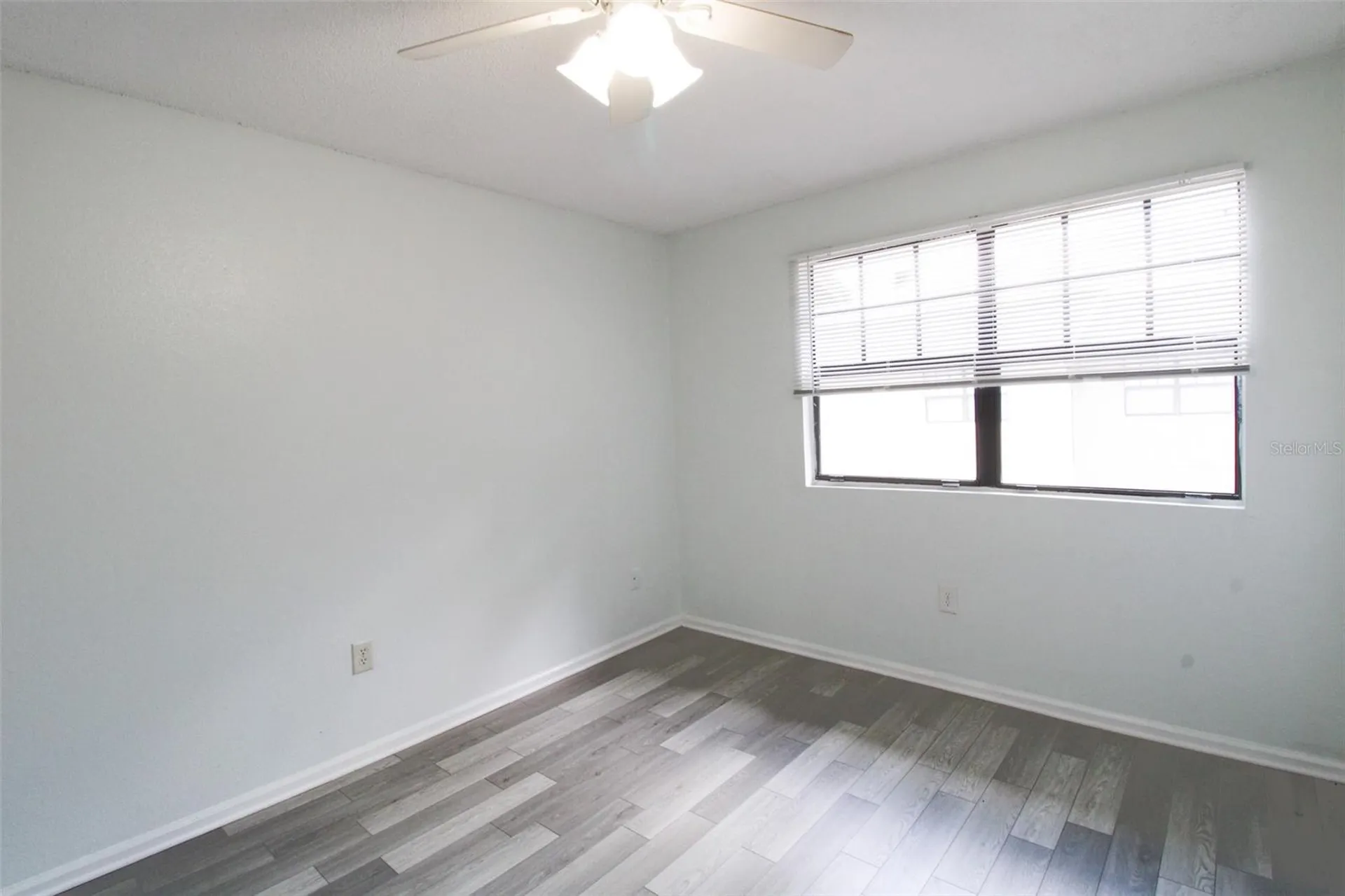 201 Poinsettia Pine Court Tampa FL 33612