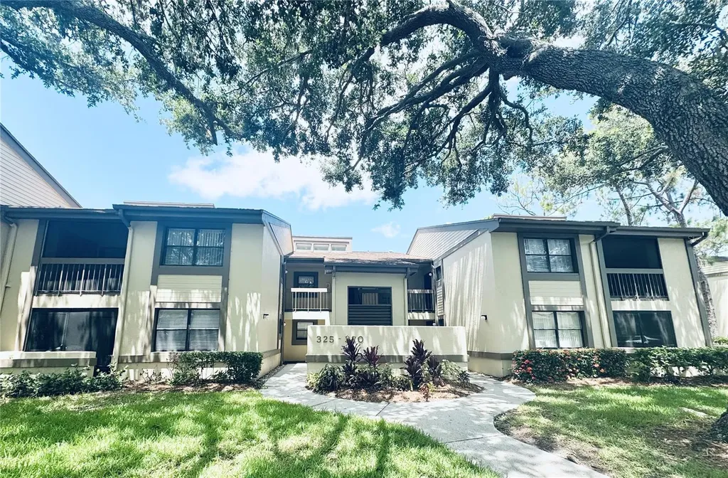 328 Woodlake Wynde Oldsmar FL 34677