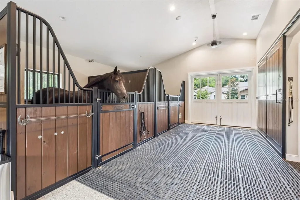 20401 Wolf Springs Court Clermont FL 34715