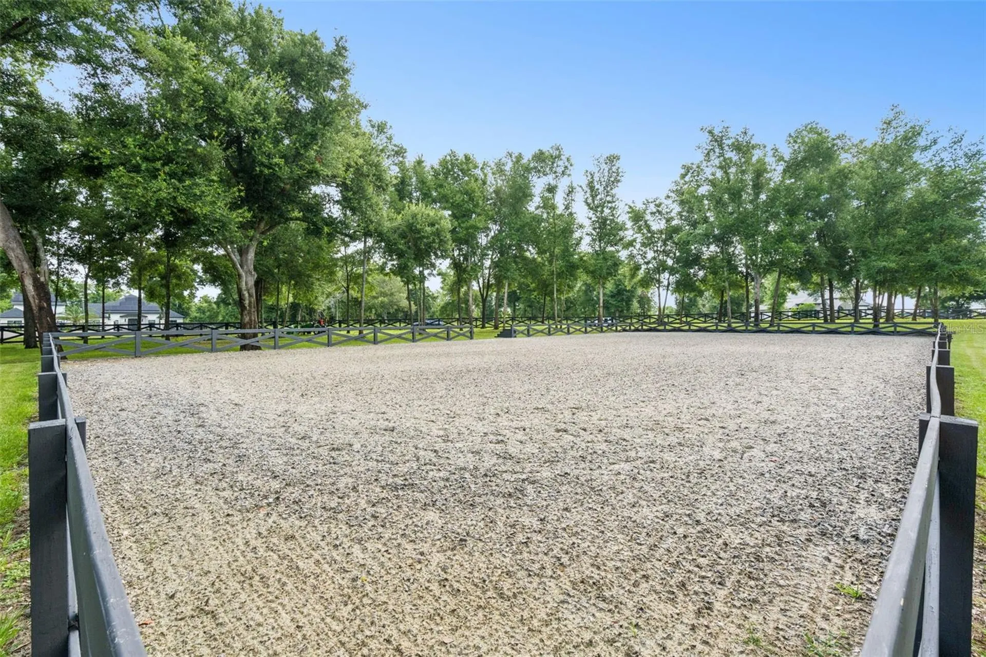 20401 Wolf Springs Court Clermont FL 34715