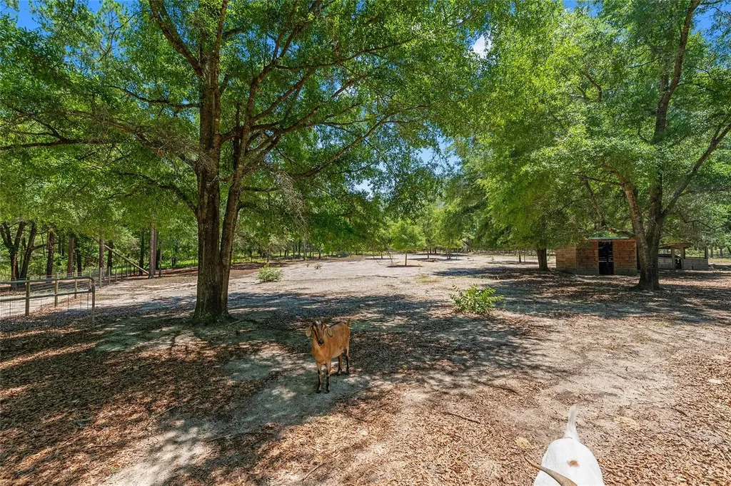 357 SW Conestoga Way Fort White FL 32038