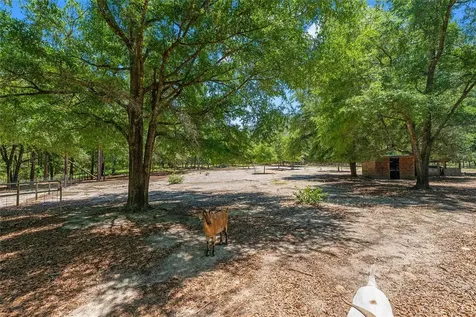 357 SW Conestoga Way Fort White FL 32038