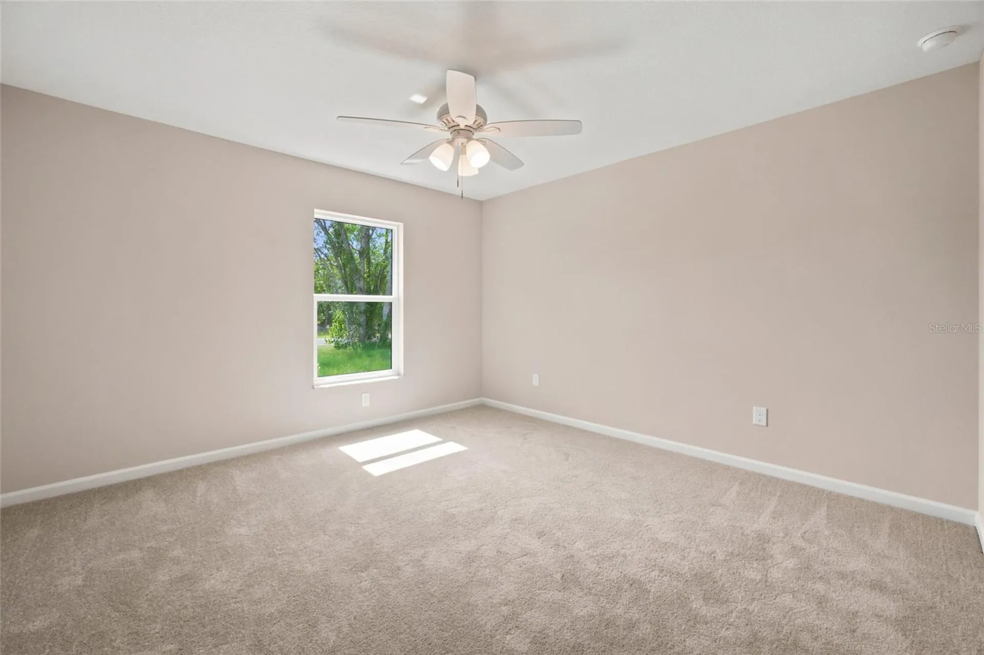6243 N Matheson Drive Citrus Springs FL 34434