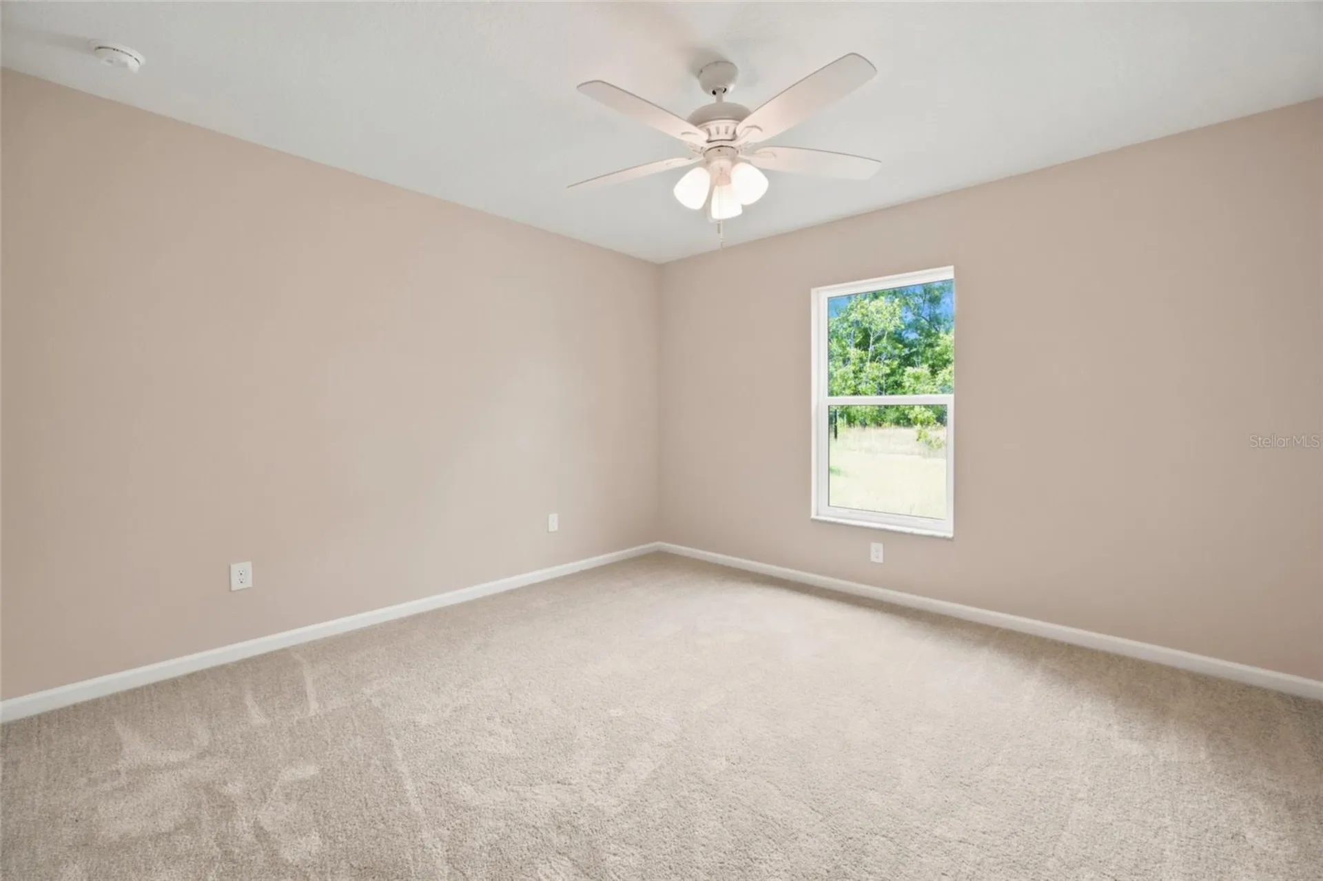 6243 N Matheson Drive Citrus Springs FL 34434