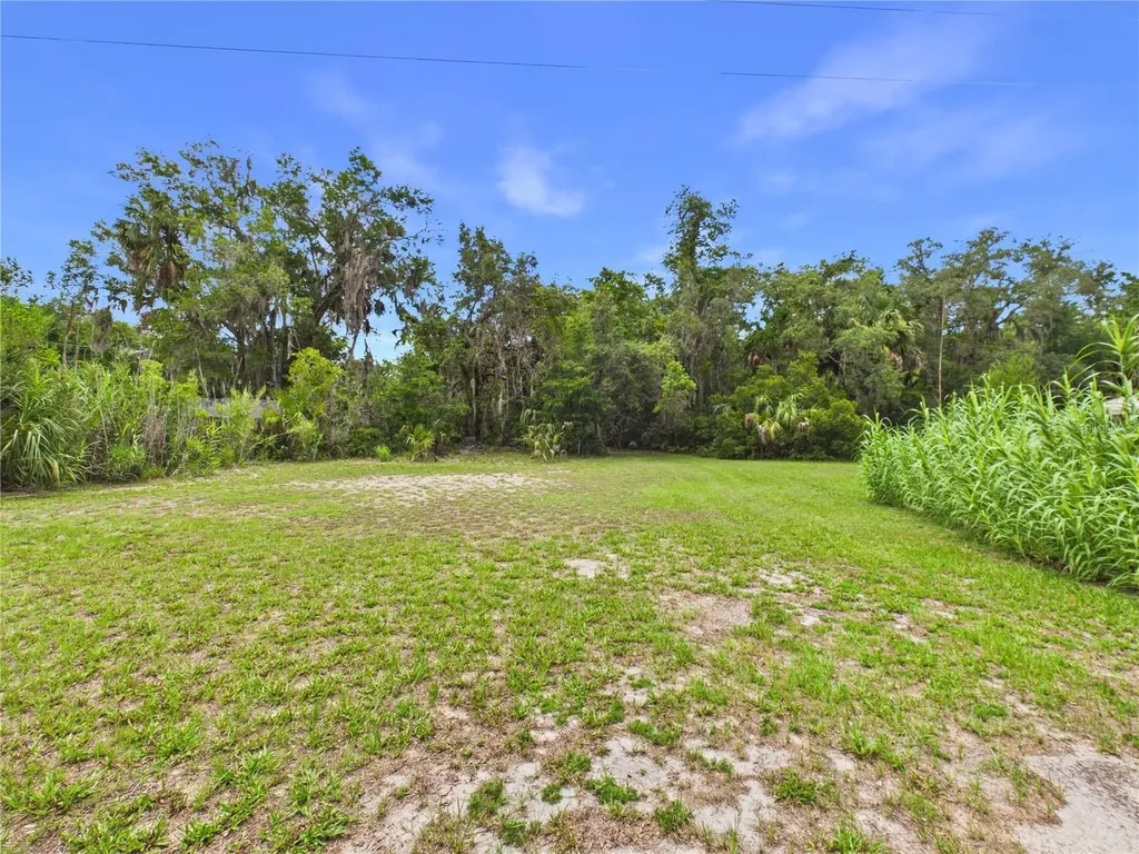 11236 N Rain Point Inglis FL 34449