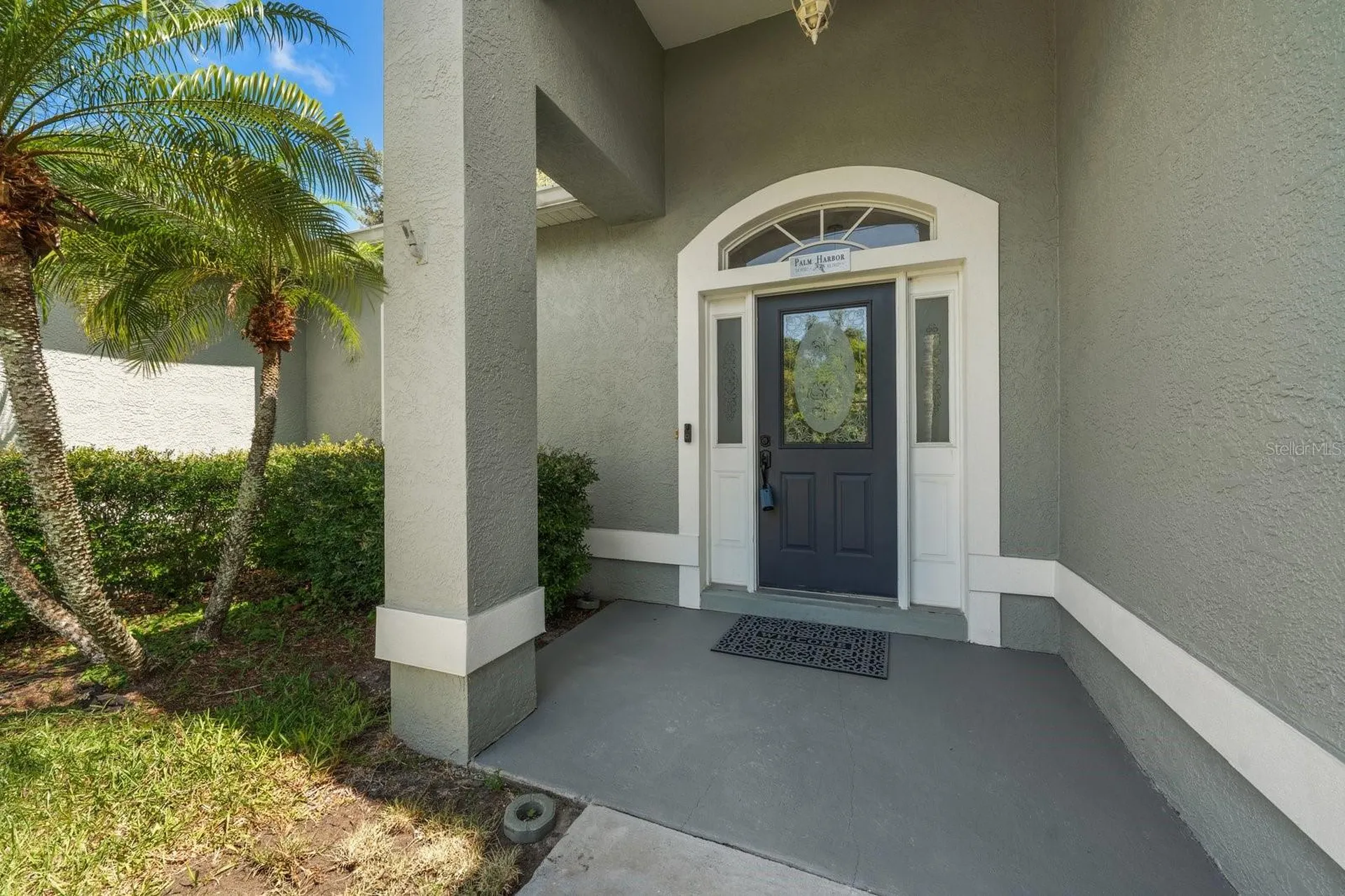 1131 Virginia Avenue Palm Harbor FL 34683