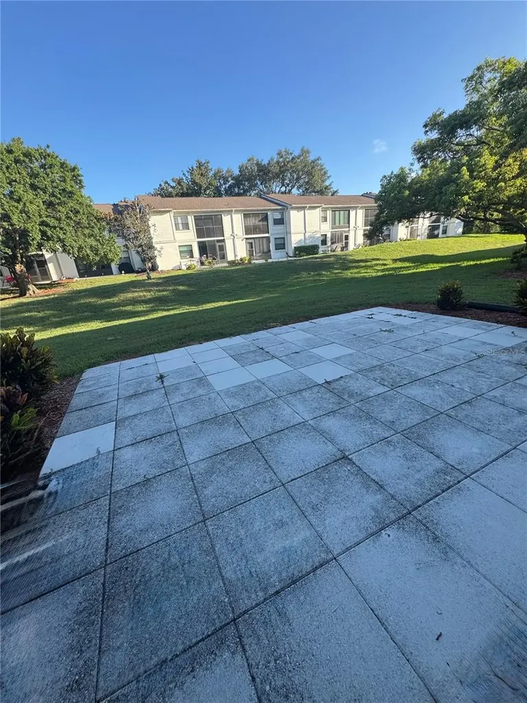 203 Meadow Lane Oldsmar FL 34677