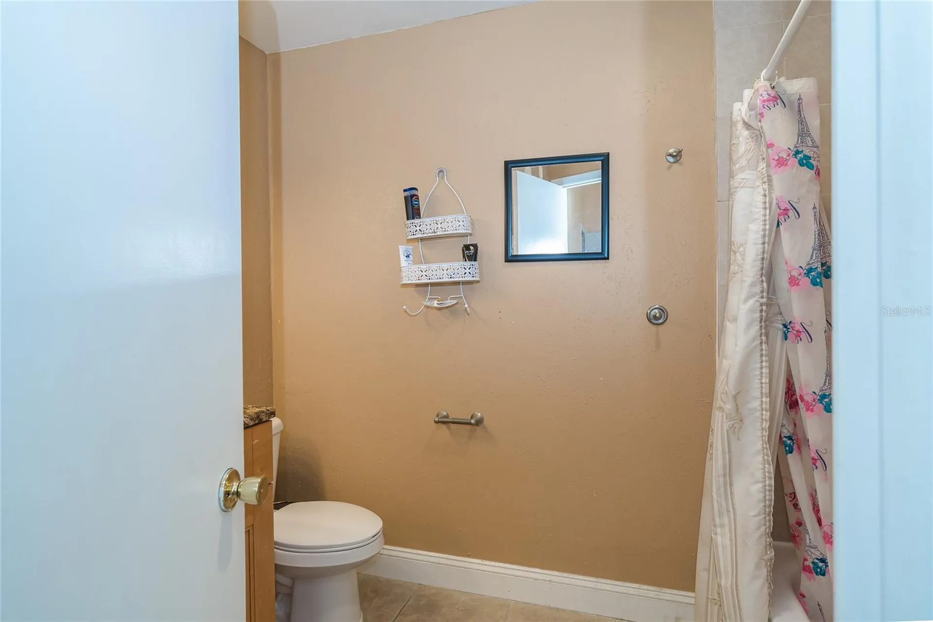 14015 Lemon Valley Place Tampa FL 33625