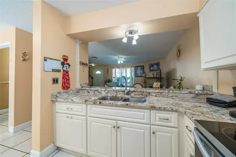 14015 Lemon Valley Place Tampa FL 33625