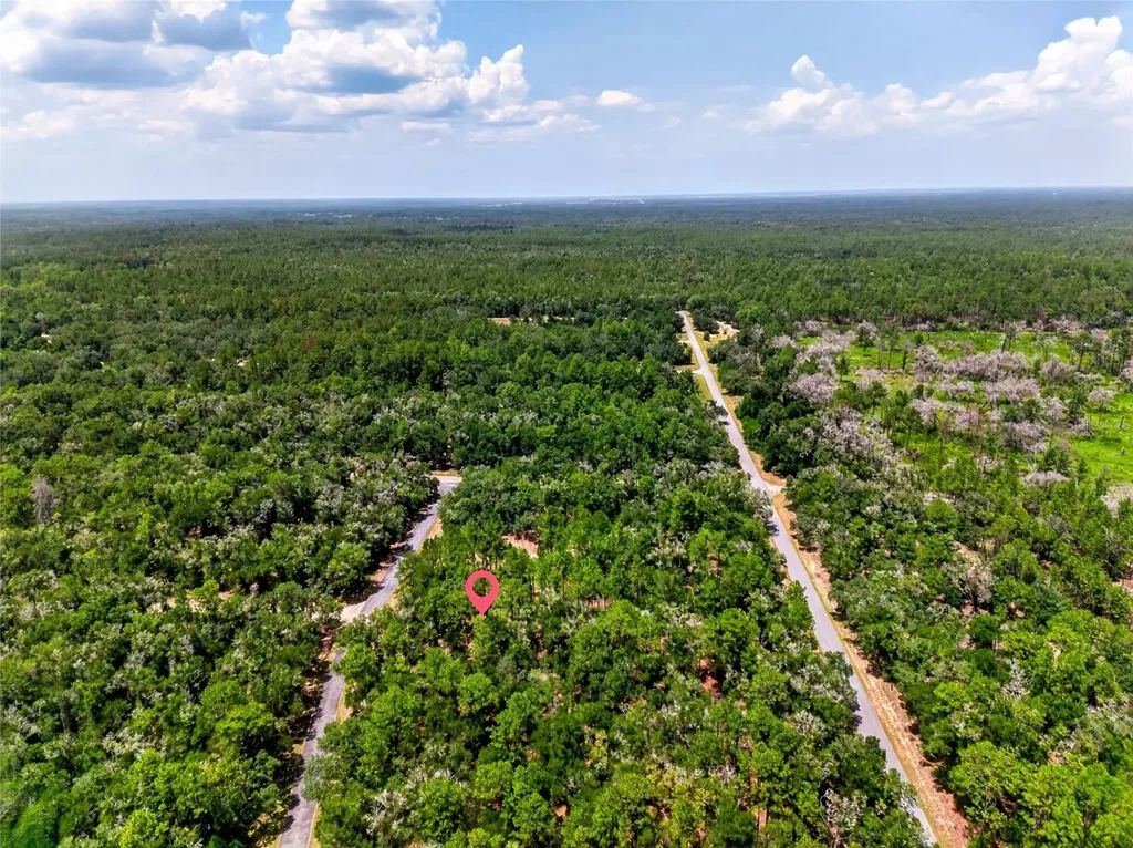 8355 N Orton Way Dunnellon FL 34434