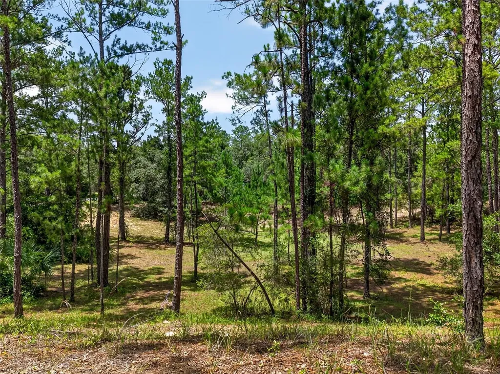 8355 N Orton Way Dunnellon FL 34434