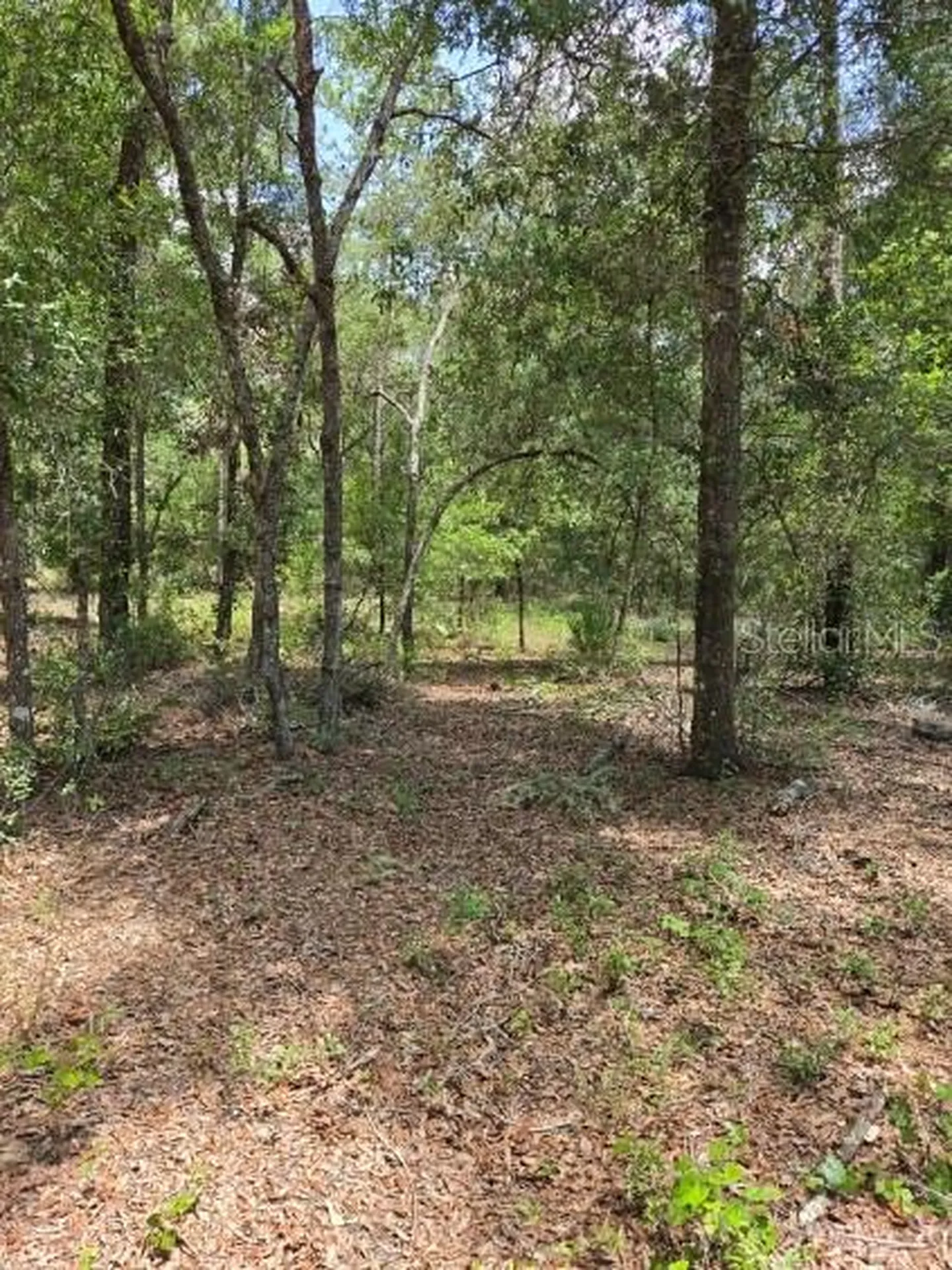 8355 N Orton Way Dunnellon FL 34434