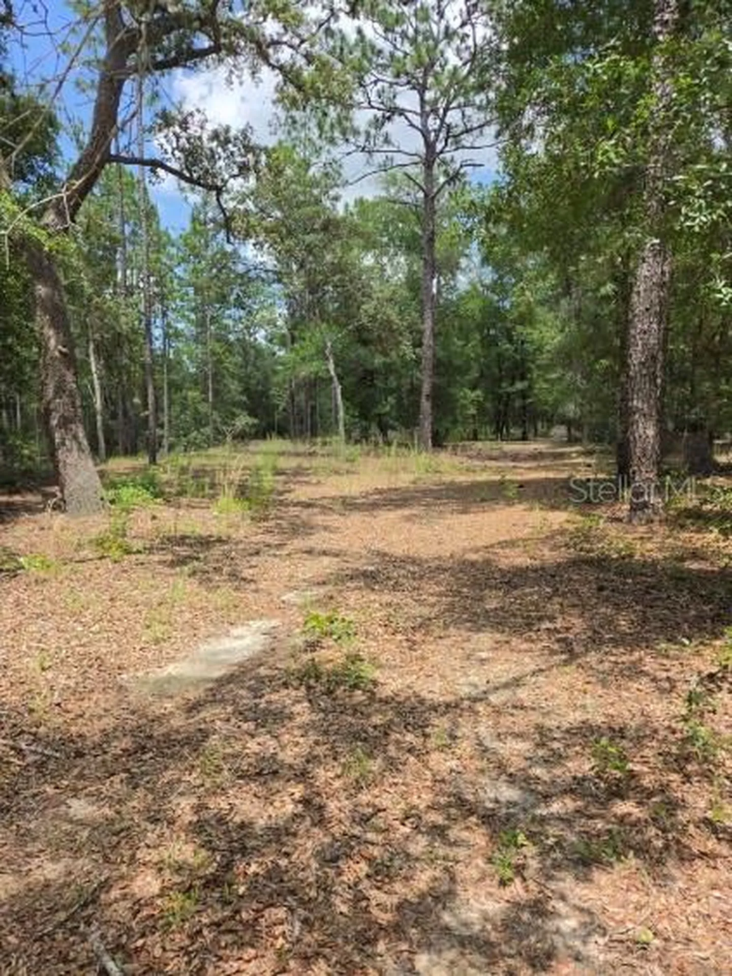 8355 N Orton Way Dunnellon FL 34434
