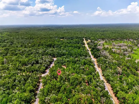 8355 N Orton Way Dunnellon FL 34434