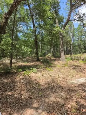 8355 N Orton Way Dunnellon FL 34434