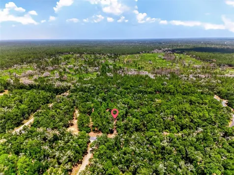 8355 N Orton Way Dunnellon FL 34434
