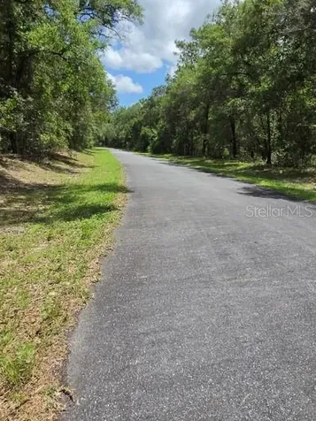8355 N Orton Way Dunnellon FL 34434