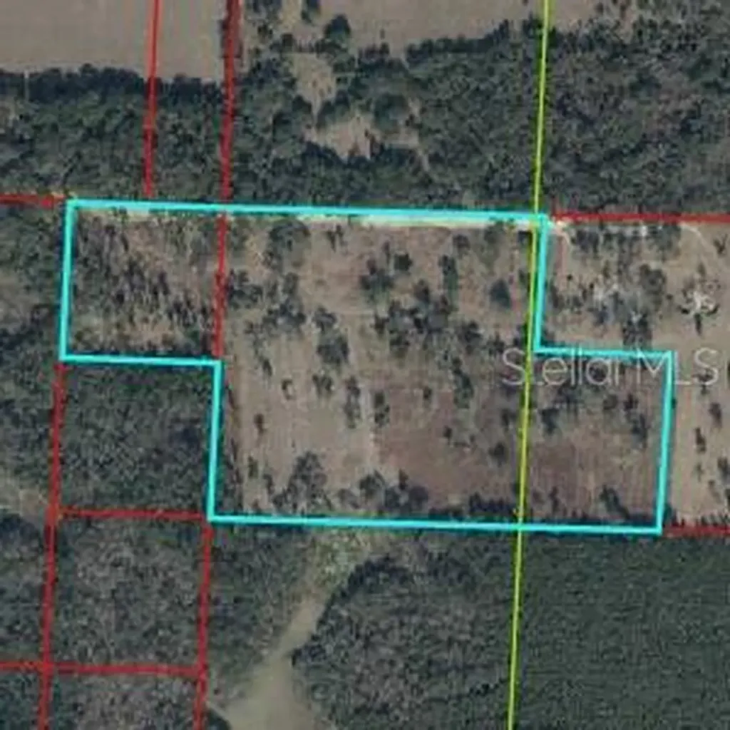 NE 172nd Court Williston FL 32696