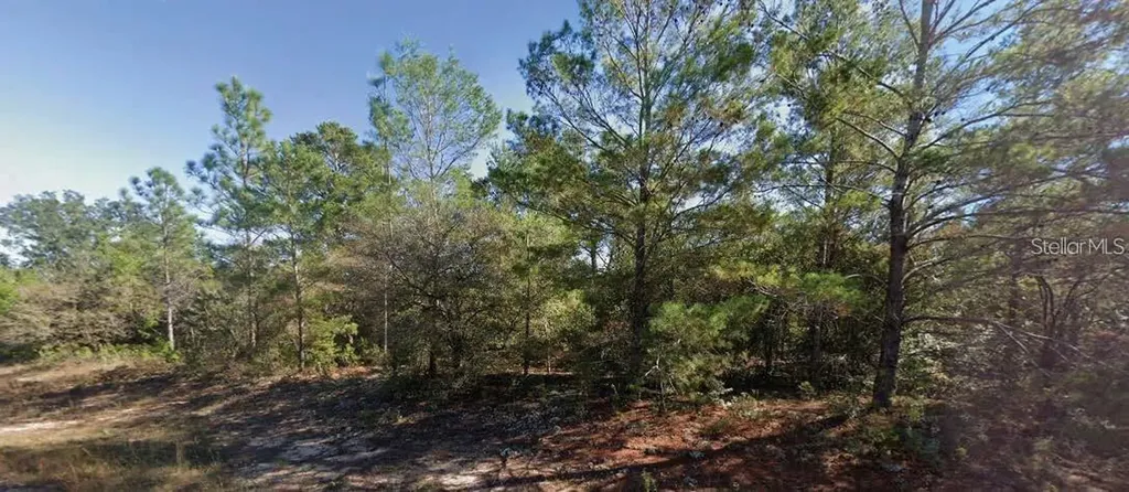Colmart Drive Chipley FL 32428