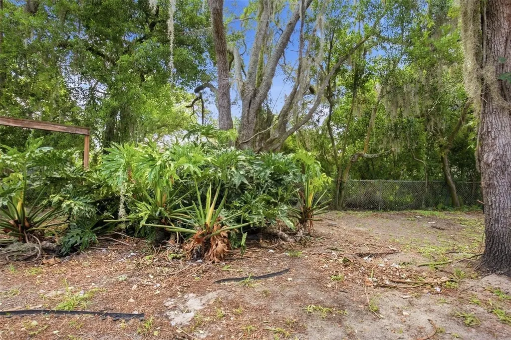 10207 N Hyaleah Road Tampa FL 33617