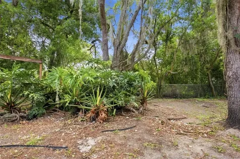 10207 N Hyaleah Road Tampa FL 33617