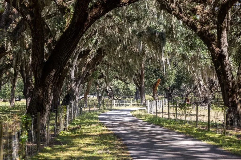 Lot 20 Cr 543 Bushnell FL 33513