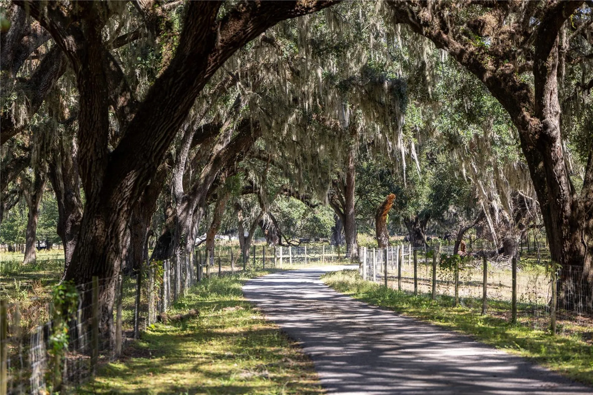 Lot 20 Cr 543 Bushnell FL 33513