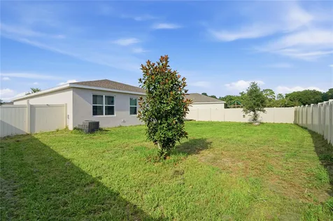 24409 Sunnys Halo Way Sorrento FL 32776