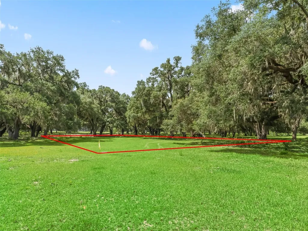 Lot 12 Cr 543 Bushnell FL 33513